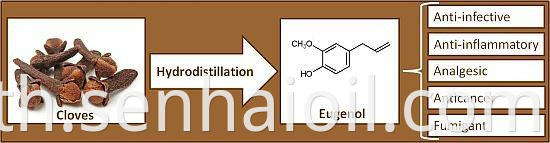 Eugenol